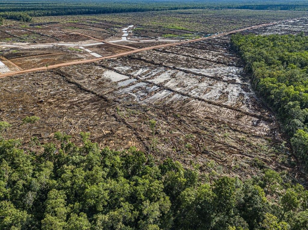 การขาดแคลนพื้นที่เพาะปลูกสร้างข้อกังขาต่อนโยบายภาครัฐในการบังคับจัดตั้งไร่อ้อย