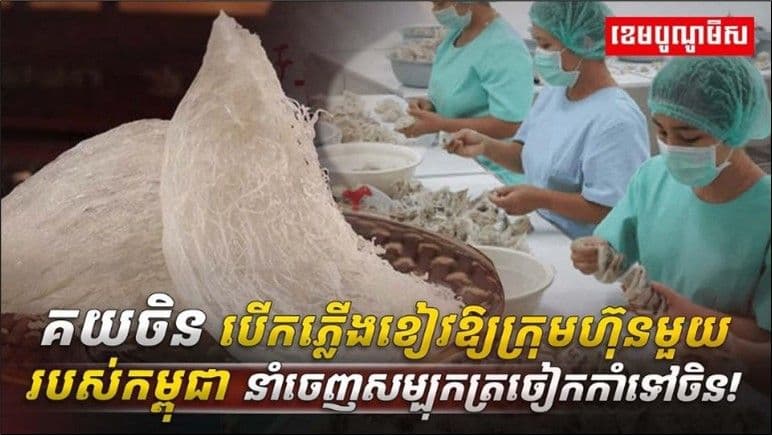 กัมพูชาส่งออกรังนกนางแอ่น สู่ตลาดจีน